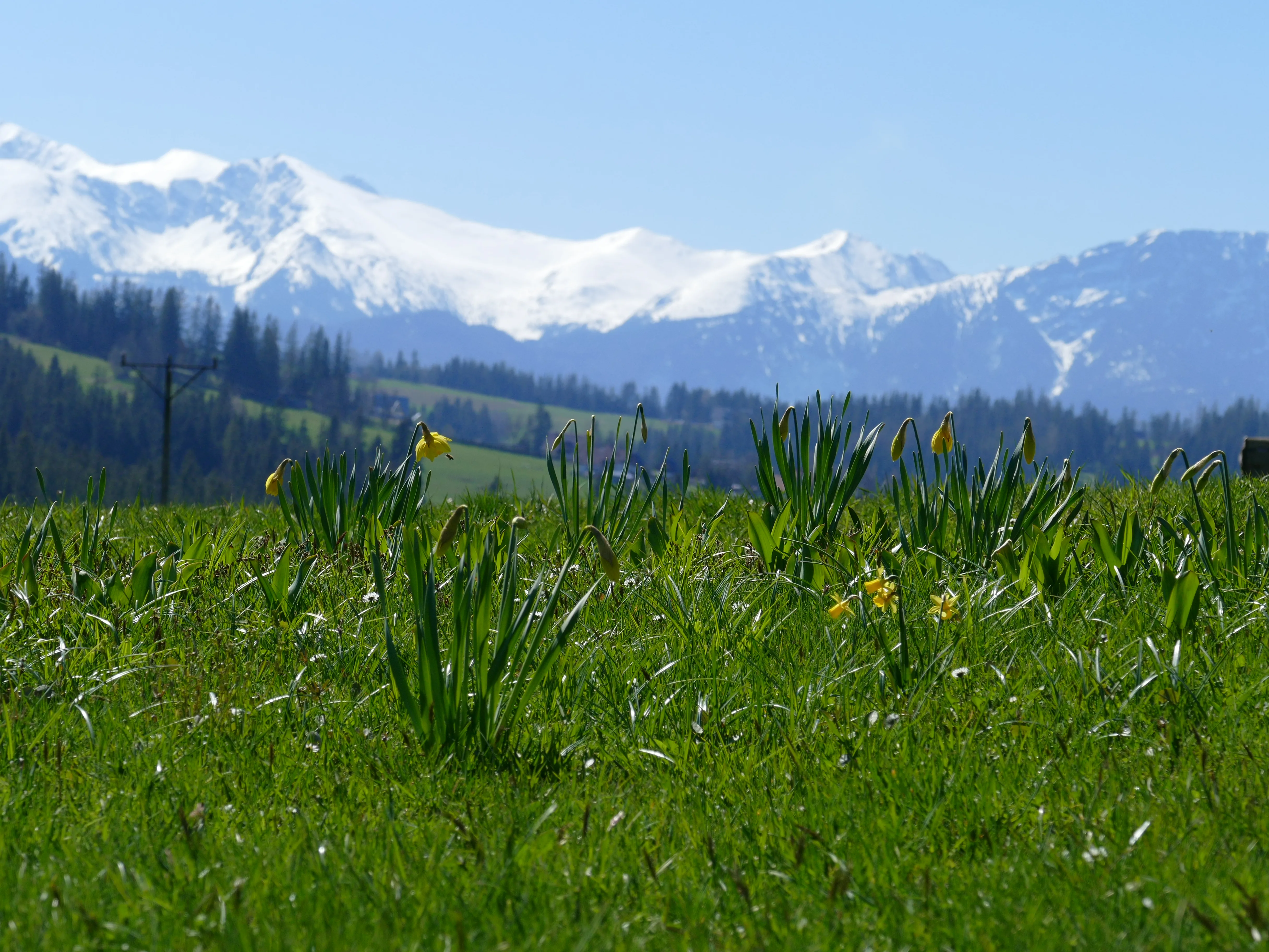Morskie Oko – Tatry