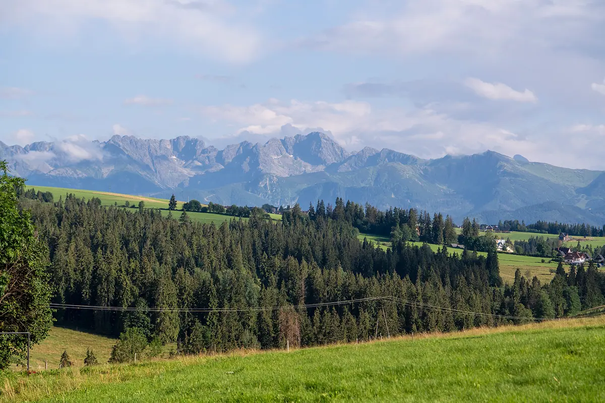 Tatry nad lasem — widok z okolic domu